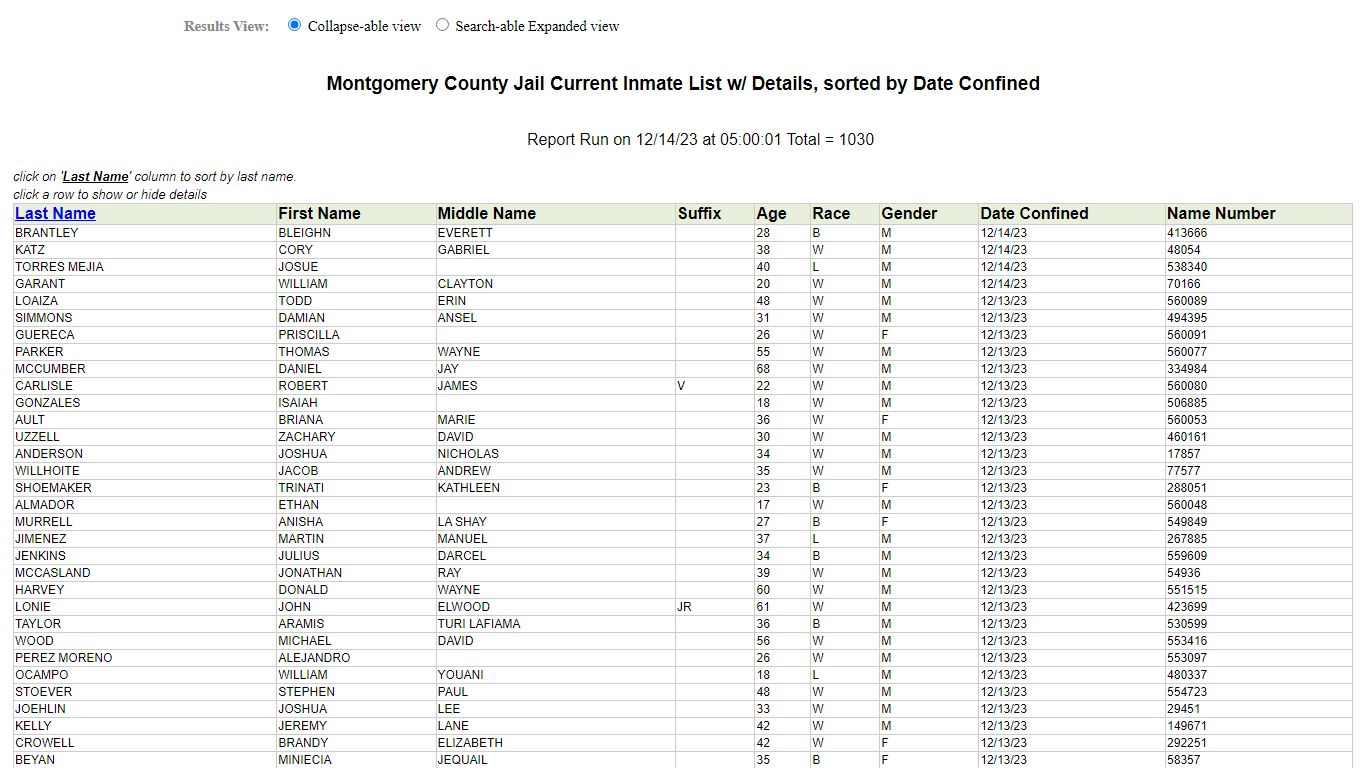 Jail Roster